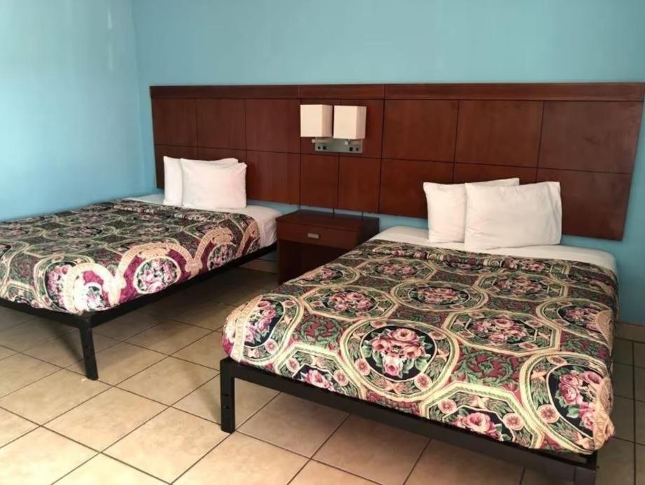 ווינטר הייבן Economy Suites מראה חיצוני תמונה